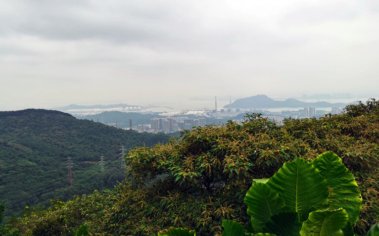 激扬青春、奋勇攀登登山活动